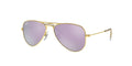 Ray Ban 9506