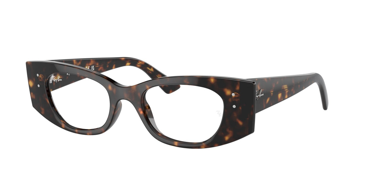 Ray Ban 7327