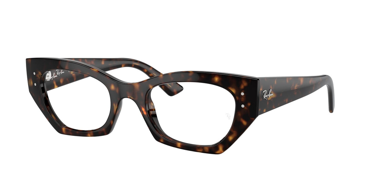 Ray Ban 7330