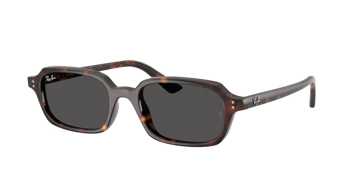 Ray Ban 4455