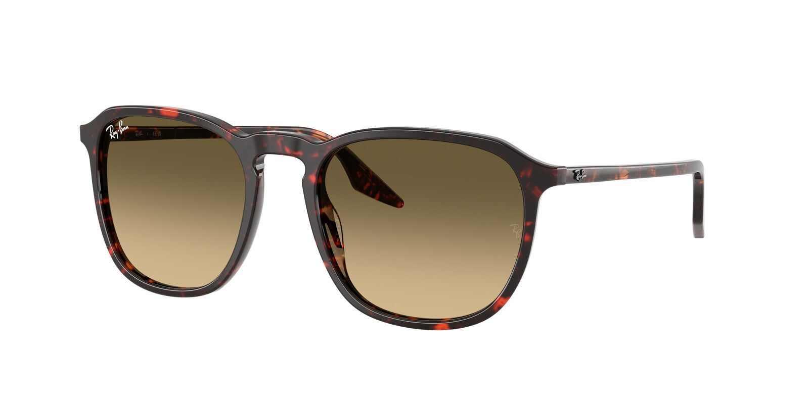 Ray Ban 2203