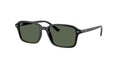 Ray Ban 9131S
