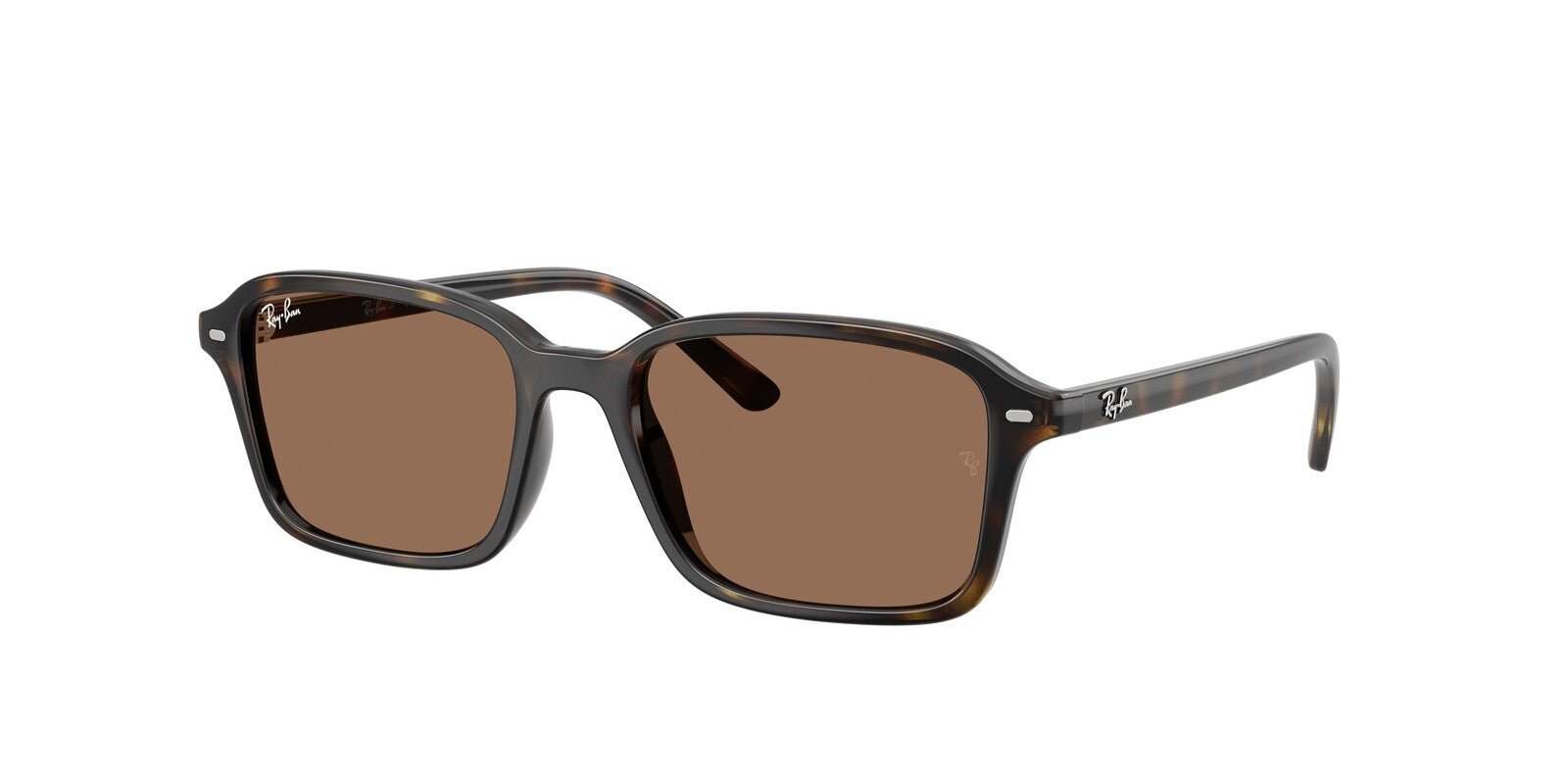 Ray Ban 9131S